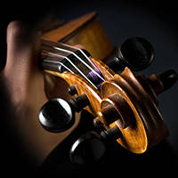 Violon volute Mildor Violon Thumbnail 06